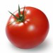 paradajka-rajcina-zelenina-shutterstock.jpg